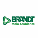 Imagem19